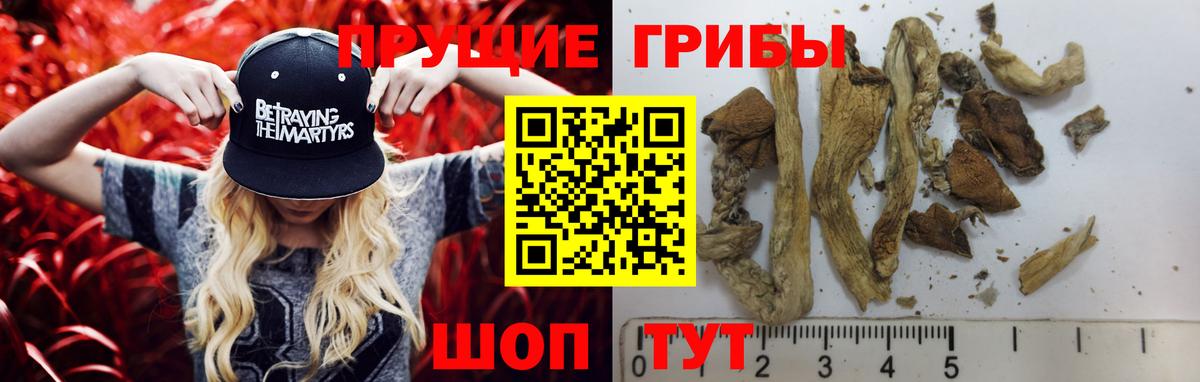 Сатка  Галлюциногенные грибы ЛСД  Галлюциногенные грибы Cubensis  Вход с VPN 